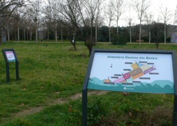 El arboreto de Reyes Católicos ve mejorada su cartelería por el Ayuntamiento