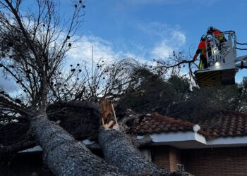 Árbol caído en Villalbilla sobre un chalet. fotos E112