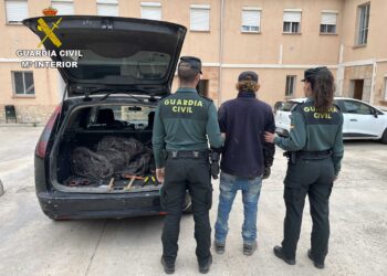 Robó cable causando daños por valor de 140.000 euros