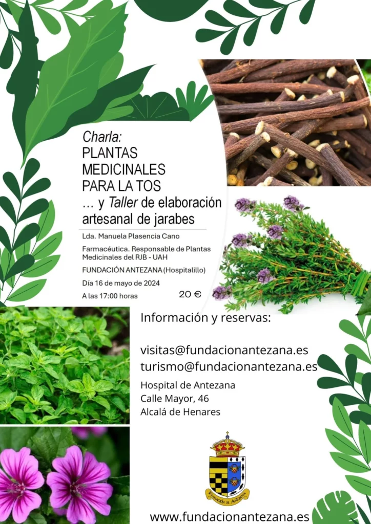 Taller plantas medicinales