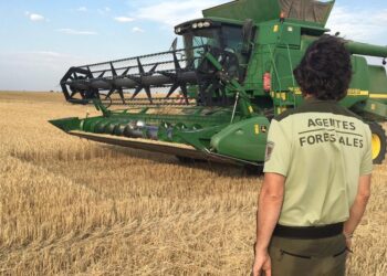 Se investiga si el incendio del Viso fue originado por maquinaria agrícola