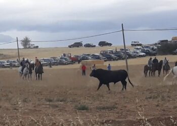 Encierro por el campo (foto de archivo)