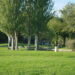 La pradera y el largo del Cementerio Jardín de Alcalá de Henares.