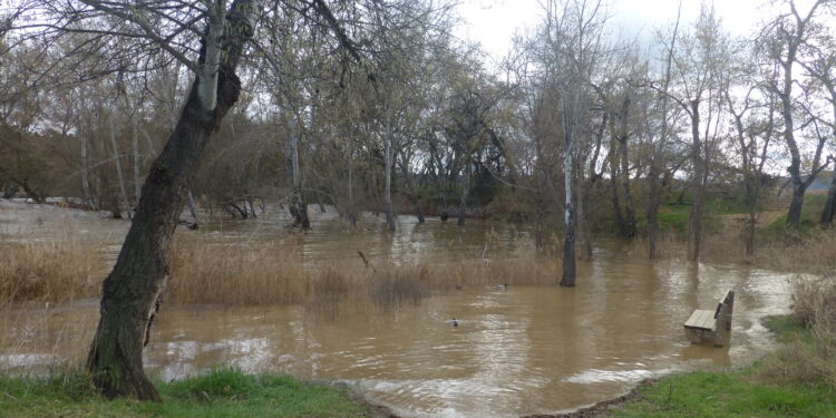 El Henares ya se ha desbordado en Alcalá a la altura de la Tabla Pintora
