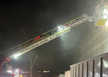 Los bomberos emplearon la autoescala para acometer el fuego
