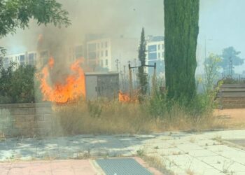 El fuego se produjo en una parcela residencial no edificada junto a la calle Alfonso VI