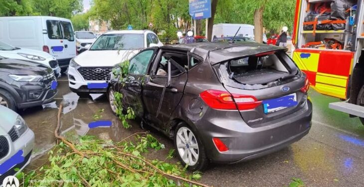 Accidente de tráfico provocado por la caída de una rama de árbol