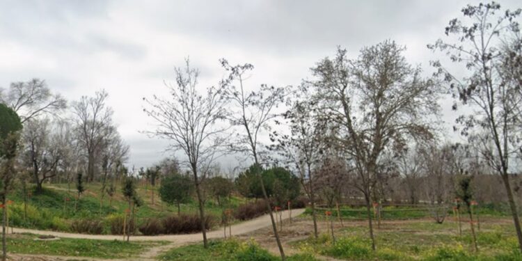 El parque del Camarmilla en Espartales