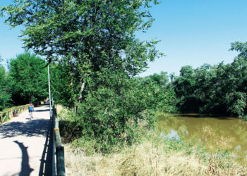 Paseo fluvial en la Tabla Pintora, junto a Nueva Alcalá