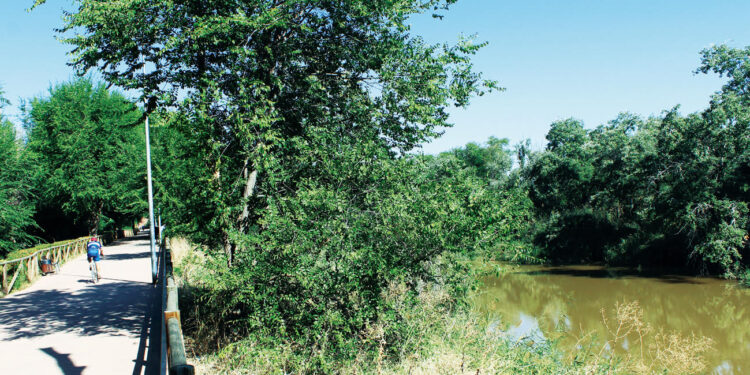 Paseo fluvial en la Tabla Pintora, junto a Nueva Alcalá