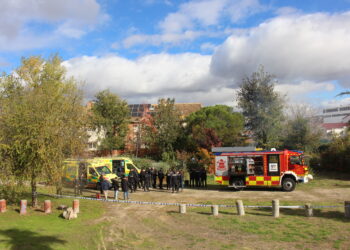 Las fuerzas de seguridad acordonaron la zona
