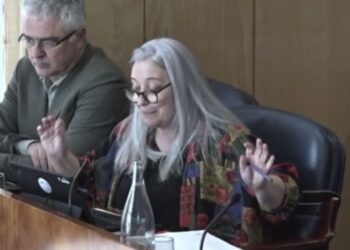 Alicia Torija, diputada de Más Madrid, durante el debate