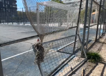 Pistas Deportivas de la Calle Dámaso Alonso