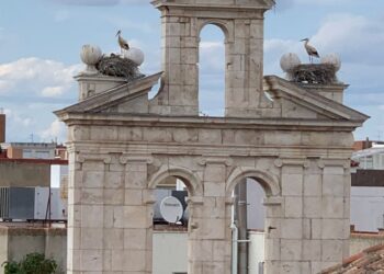 Cigüeñas en la espadaña de la capilla de San Ildefonso. Una imagen representativa de la ciudad y de la Universidad de Alcalá. Foto de Juan Carlos Rincón