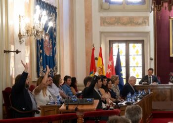 Los concejales de Vox votando en contra de la propuesta del PP