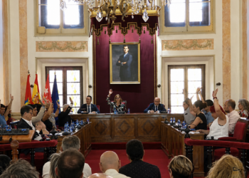 El PP sacó adelante la propuesta al votar a favor de ella el PSOE y Más Madrid. Vox votó en contra