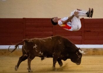 Foto Baldo