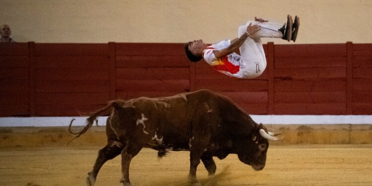Foto Baldo